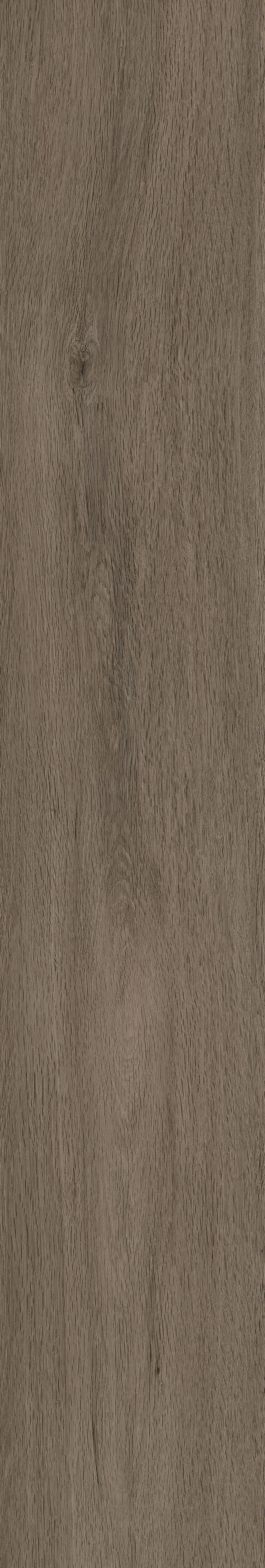 Cipressa Brown MC1221029 - Sun Power Ceramics