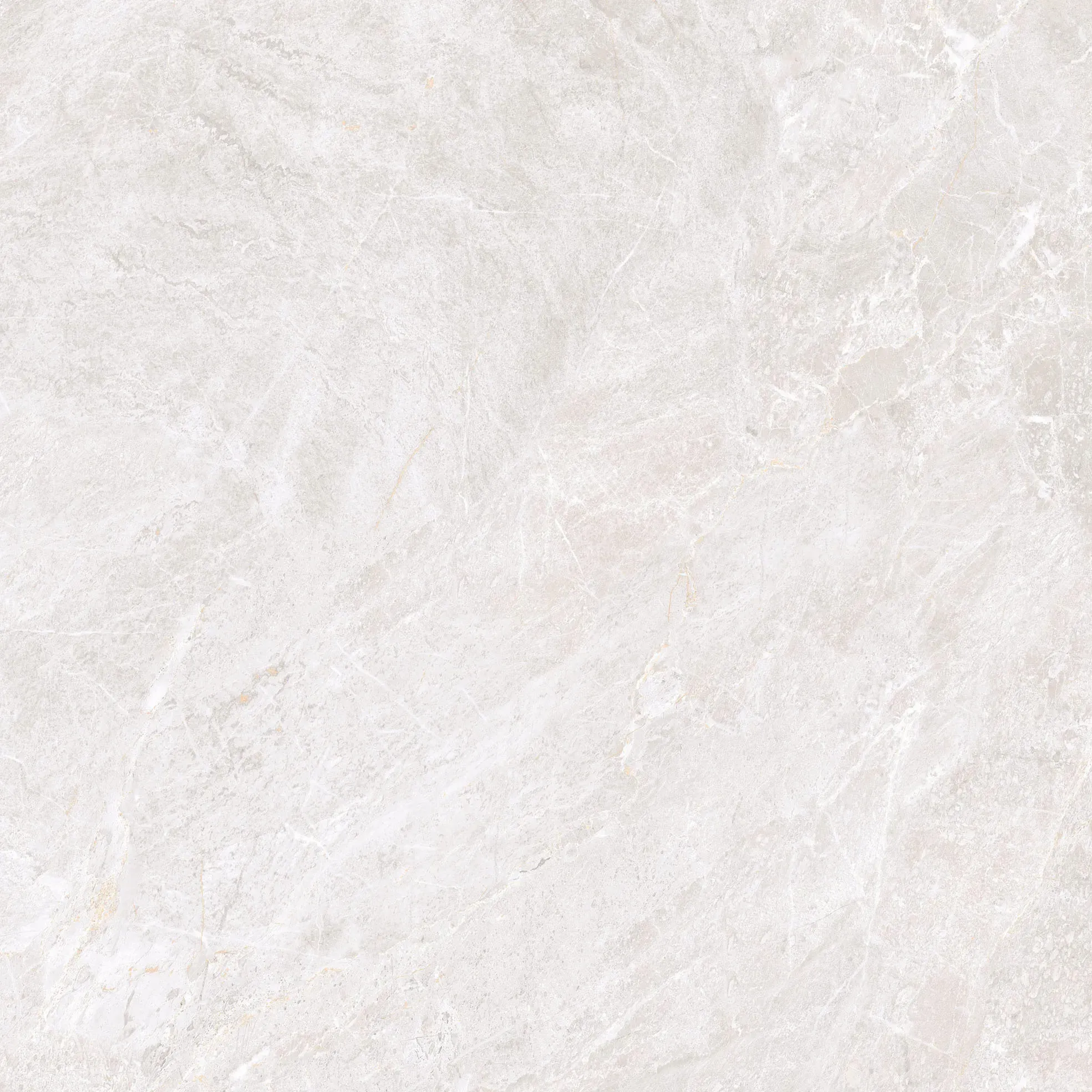 Baltimor Ivory